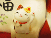 【招き猫　猫置物　縁起物】彩絵　招福大開運招き猫（7.5号）